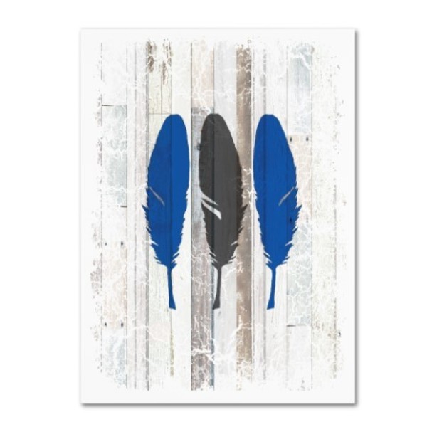 Trademark Fine Art LightBoxJournal 'The Blue Moose - Feathers' Canvas Art, 14x19 ALI10336-C1419GG